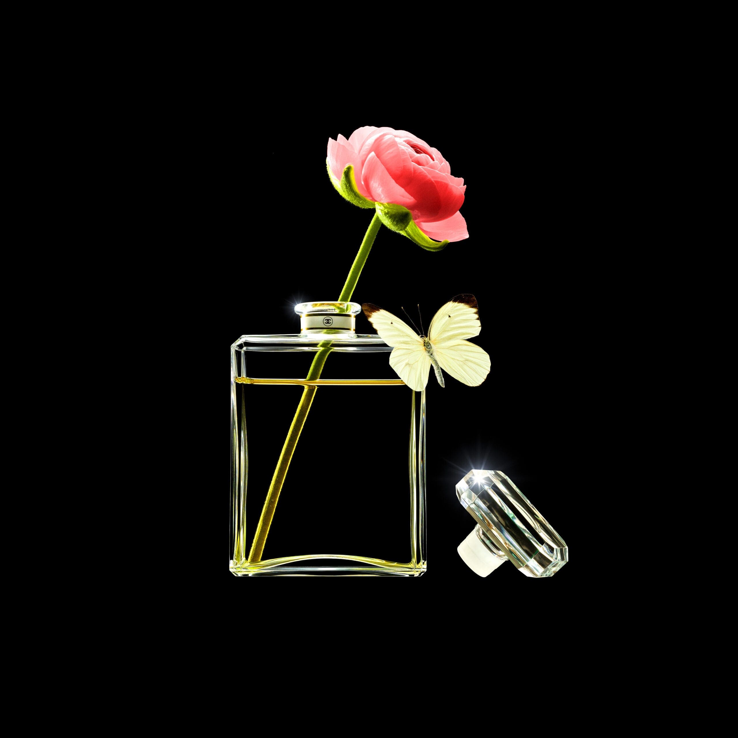 artwork bottle 01 def scaled 1